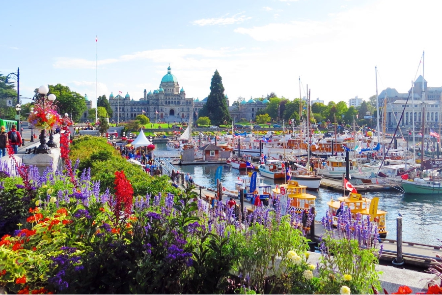 Alaska-Bigfoot-Cruise-Victoria-BC